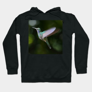 Green Violetear Hummingbird Hoodie